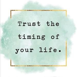 Meet your Posher, Ty